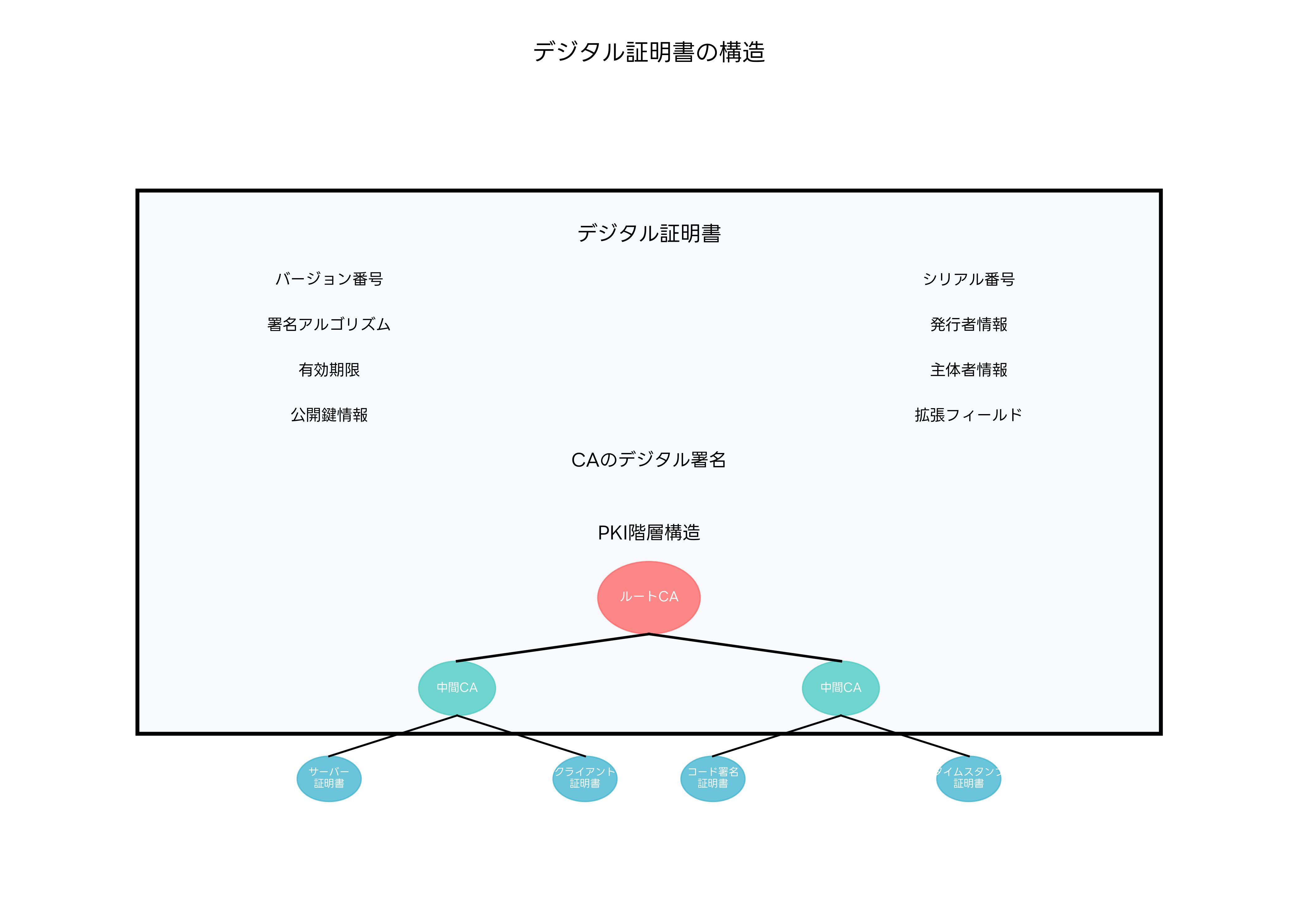 デジタル証明書の構造とPKI階層