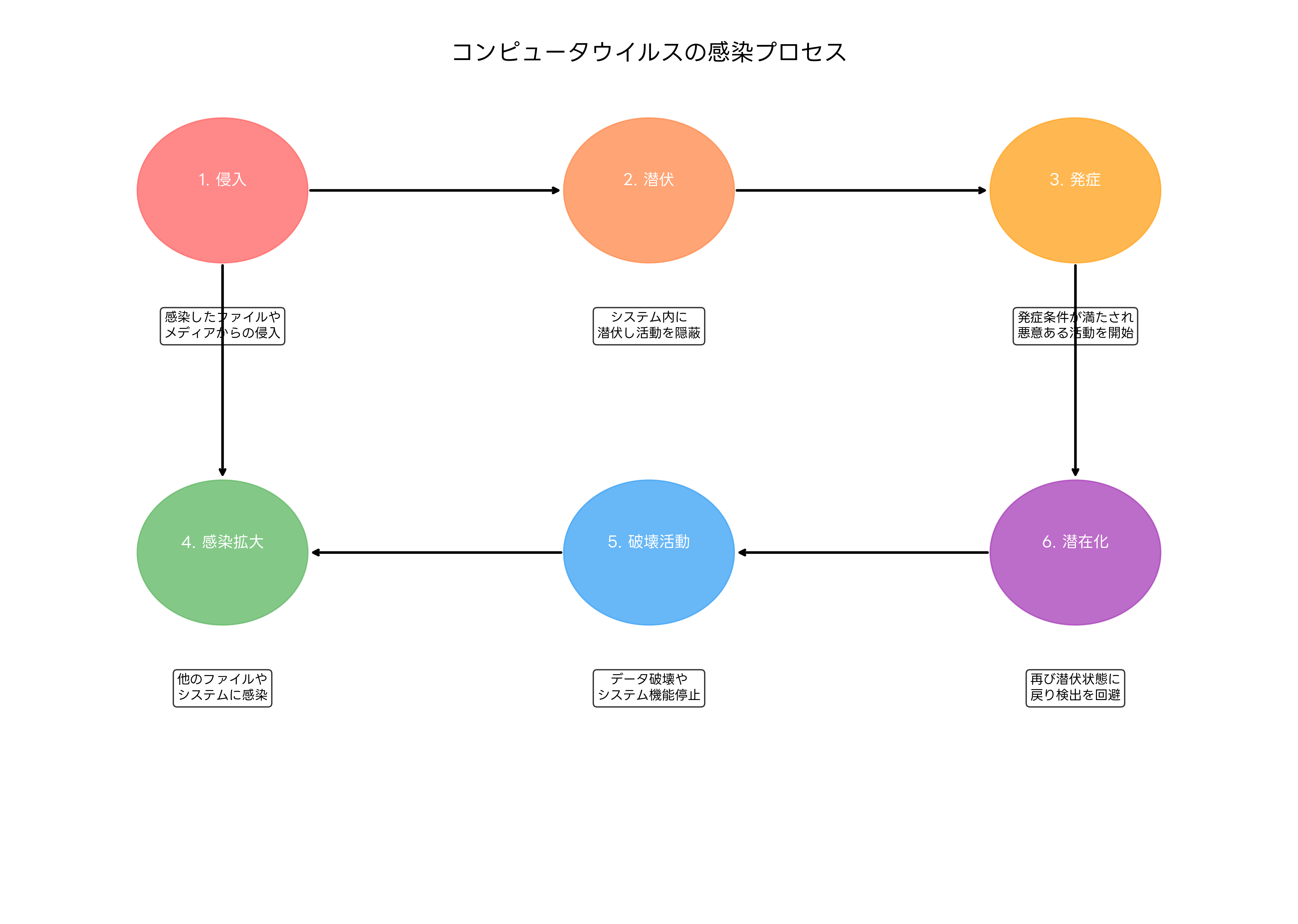 ウイルスの感染プロセス